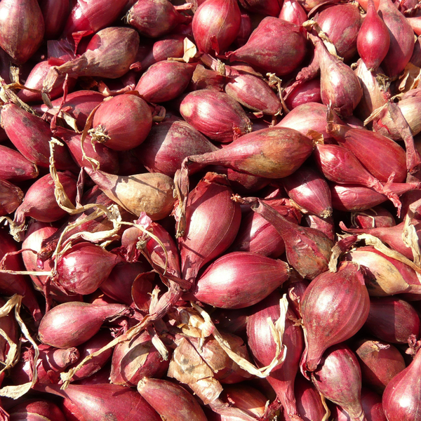 A breakdown of the Kuana blend: nature's power harnessed in a bottle