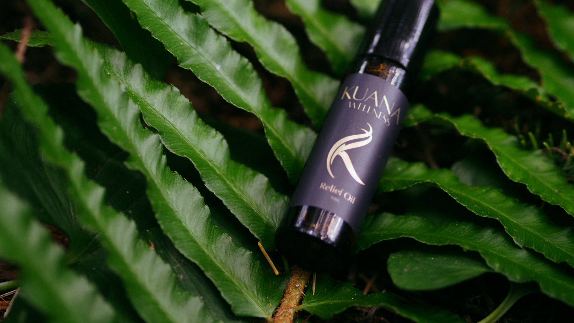 Kuana Muscle & Joint Relief Oil - 10mL Roller